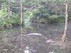 s_PICT0376_thumb.png